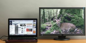 With two screens it's easy to have full-screen display of the video content on one screen while you operate the computer on the other. The photograph shows an EIZO 23-inch wide-screen LCD monitor connected to a VAIO C. The VAIO C has HDMI output and the LCD monitor has HDMI input so visuals and sound can be transmitted by a single HDMI cable. The LCD monitor has full HD screen resolution (1920 × 1080 dot), making it the perfect match for HD video content.