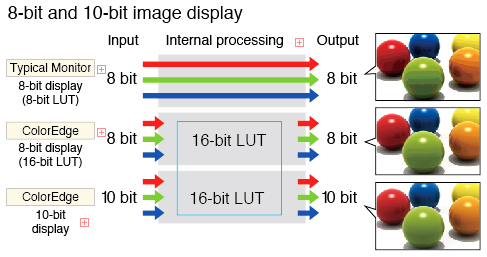 10-bit display