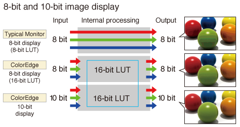 10bitd display