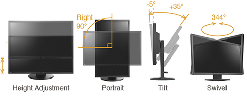 FlexStand