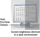 auto ecoview sensor