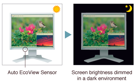 Auto EcoView sensor