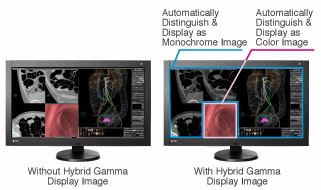 Color and Monochrome Images with Separate Gamma Curves